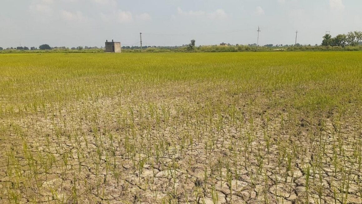 बारिश- बर्फबारी की कमी से सूखे का संकट, किसान हो रहे परेशान, पर्यटक मायूस